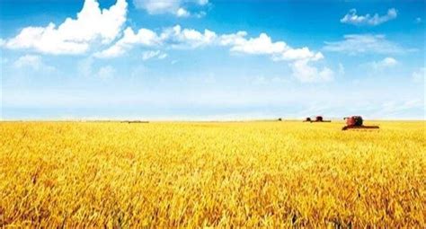 “旱作农业”“水田农业”指的是什么?