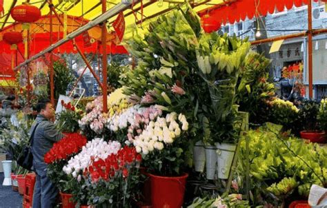 广州哪里有大的花卉市场