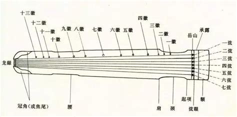 也的字体结构 是什么