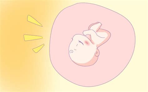 胎儿发育大脑的关键期
