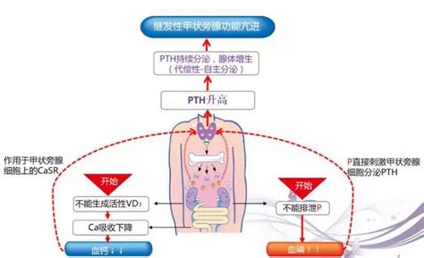 老年人突然性亢奋有什么病吗