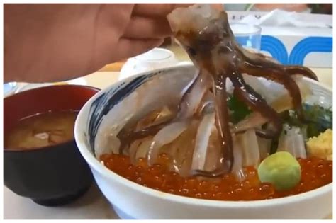 什么人不能吃鱿鱼