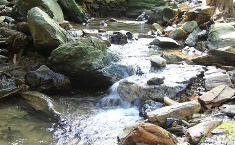 乡村的小溪_描写小溪作文350字【集锦4则】