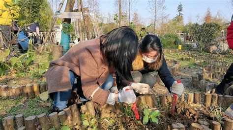 英语作文“梦想中的农场“怎么写