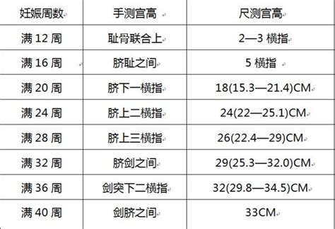 同样怀孕为什么有的肚子大有的肚子小