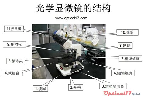 显微镜构造包括哪些部件?各有何作用