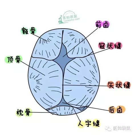 孩子的囟门闭合得晚是不是智力不太好