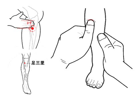 孕妇夏天胃口不好怎么办