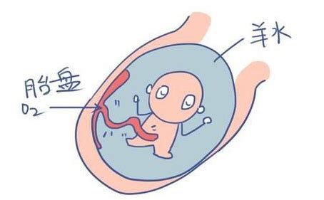 羊水破了痛几个小时才生