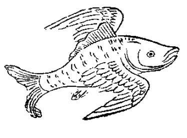 隐藏的海底杀手_写鳐的说明文1200字(共计8篇)