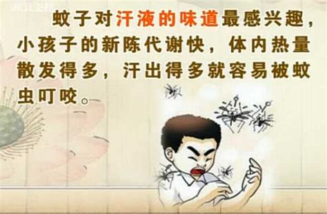 对付蚊子的方法有哪些