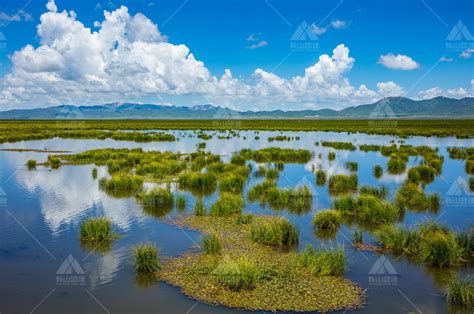 若尔盖花湖：中国最美的草原湿地