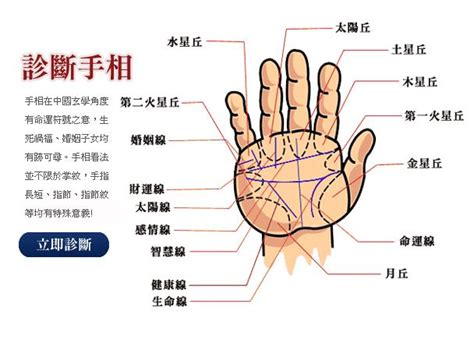 男人手上最好的三种纹