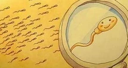 精子有一坨一坨的怎么回事