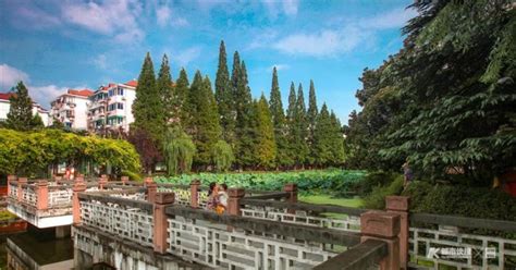 小区的池塘-写景作文400字【共计4篇】