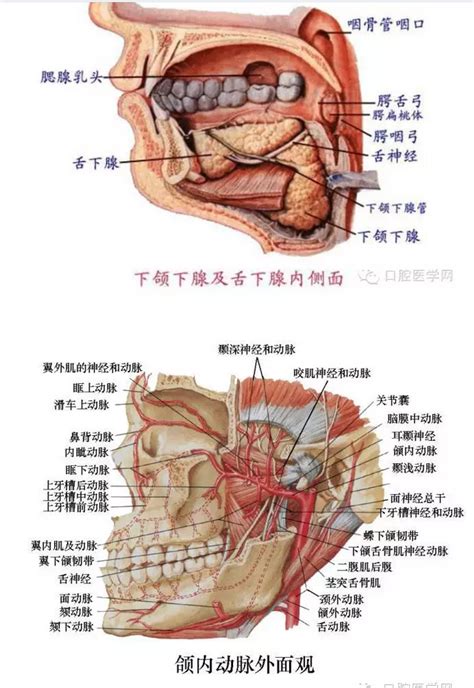 亿大口腔与雅度口腔哪个好