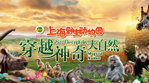 请问谁知道上海野生动物园的门票多少钱啊?