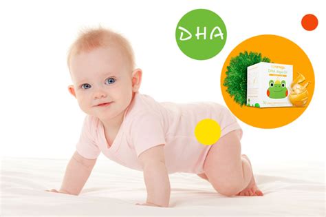 孕期吃dha宝宝真的会聪明吗?