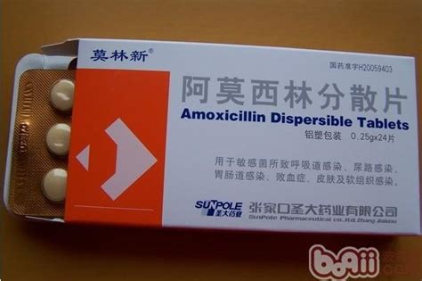 备孕期间服用阿莫西林可以吗