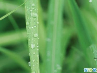 下雨天发个幽默朋友圈诗句