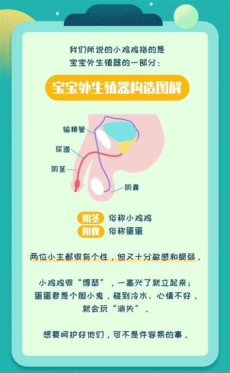 我发现了小鸡的秘密-观察作文400字【集锦7篇】