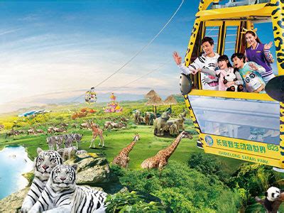 游野生动物园-快乐的游玩作文300字（汇总9则）