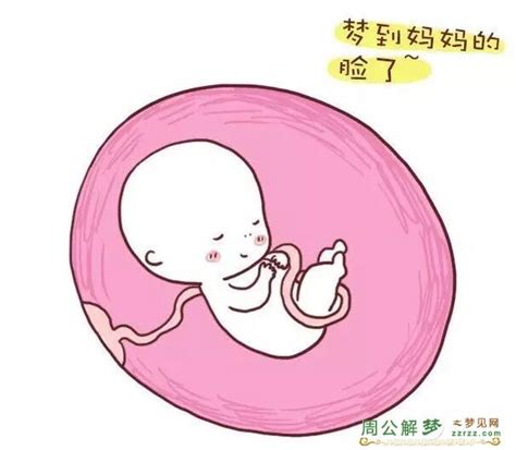 子宫里面的胎儿怎么样才能出生