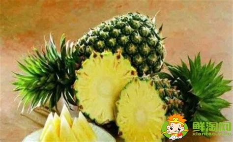 菠蘿和菠蘿蜜有什么區別？求解