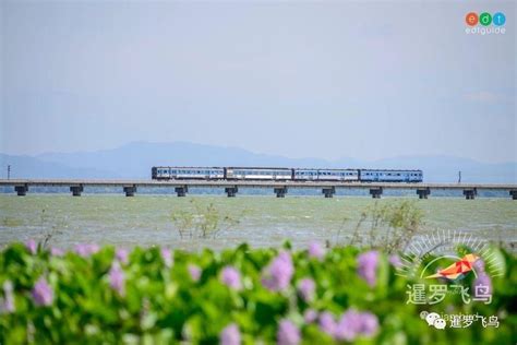 一生必游清单，泰国版千与千寻之水上火车，季节限定最美旅游线路