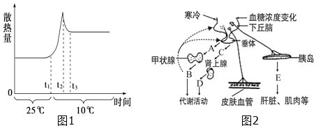 妊娠期糖尿病会引起胎盘早熟吗?