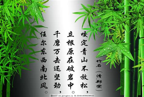 竹子高雅的诗句
