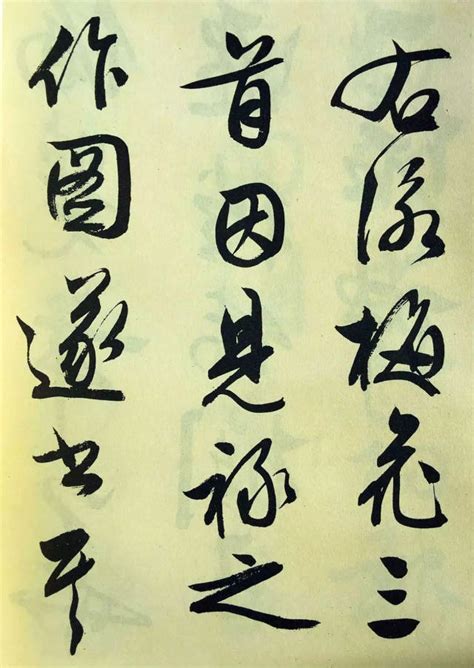 梅花 500字作文(共6则)