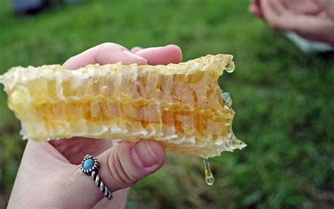 儿童经常吃蜂蜜会早熟吗