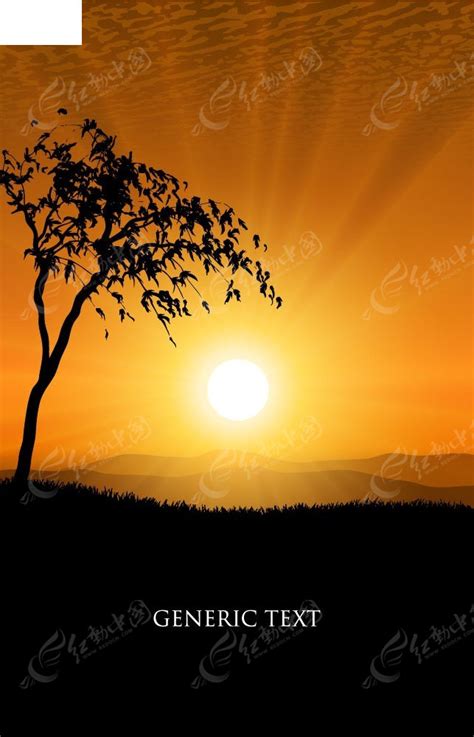 城市看日出_日出写景的作文700字(通用9则)