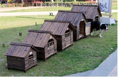 怎么在外面搭狗窩