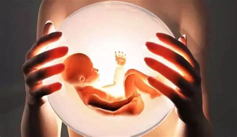 怀孕12周胎儿图清晰