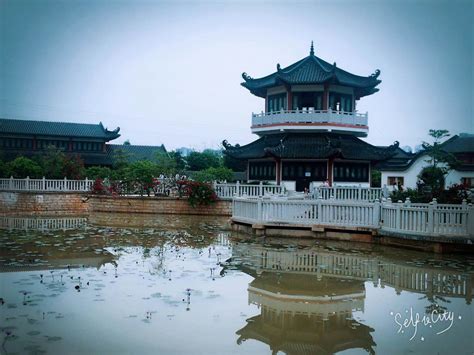 芙蓉湖公园-写景作文350字[推荐5篇]