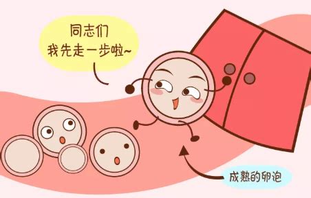排卵期一定会怀孕吗