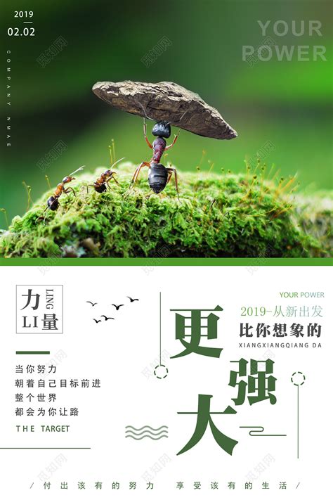 我是一只向往自由的蝴蝶-想象作文550字（优秀4则）