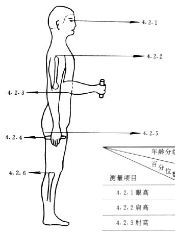 女性未成年与成年人盆腔差距