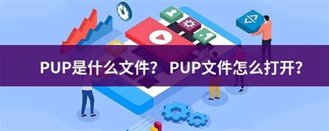关于PUP文件
