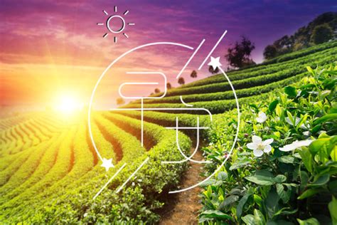 关于健康的一句话说说（共计95条）