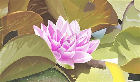 名画《睡莲》的作者是哪位印象派绘画大师