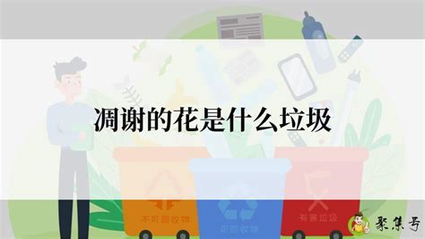 纸巾是回收还是不可回收?开败的鲜花属于哪类垃圾