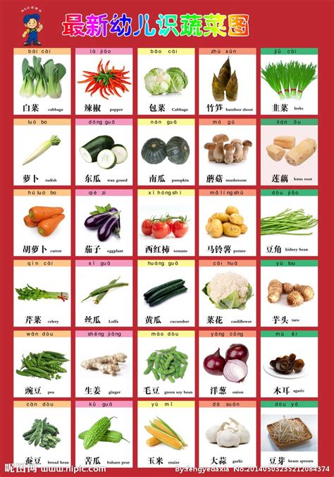 小班关于蔬菜的主题