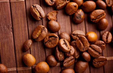 咖啡豆的种类和区别