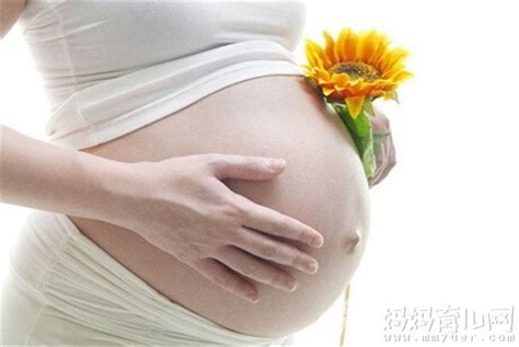 怀孕五个月胎动很少