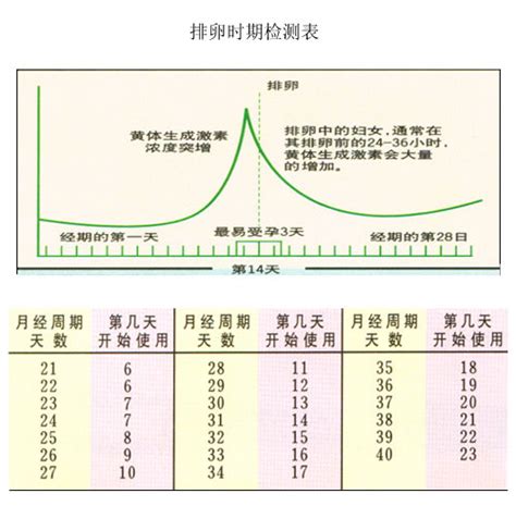 清宫表与排卵日哪个准，生儿生女如何才准