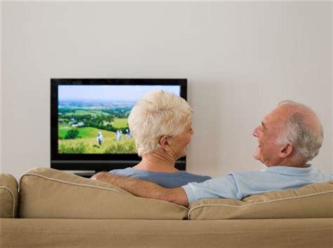 养宠物有助于老年人大脑健康