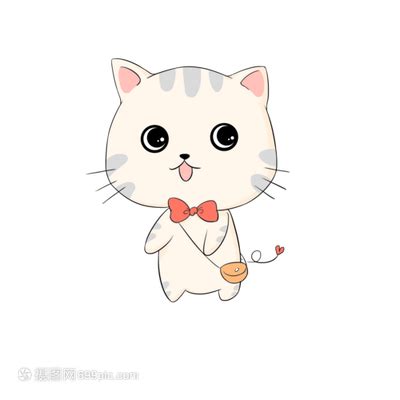 七宝小圆子是黑色流浪猫吗